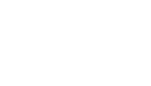 성실한 나라의 앨리스