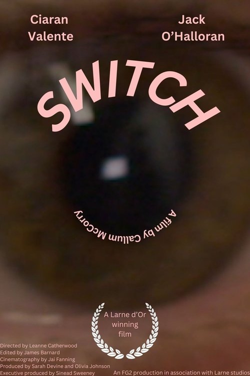 Poster image du film Switch Switch