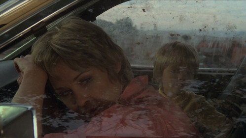 Cujo — Fondos 21