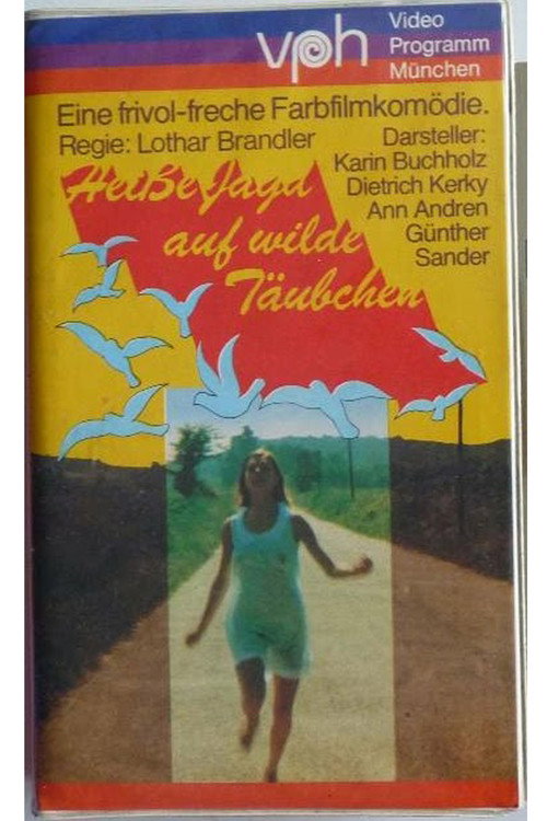 Wenn Täubchen Federn lassen poster