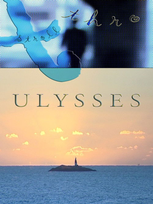 A Stroll Thro Ulysses (2004) poster