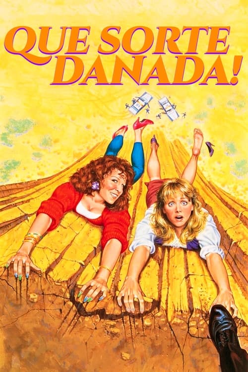 Poster do filme Que Sorte Danada!