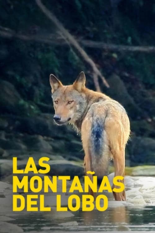 Poster Las montañas del lobo 2003