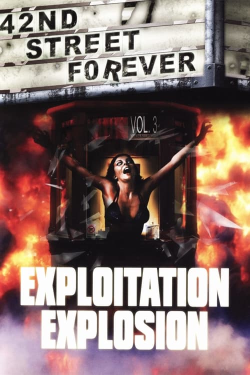 42nd Street Forever, Volume 3: Exploitation Explosion poster