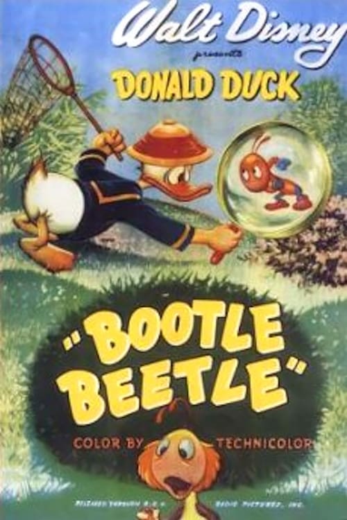Poster Bootle Beetle 1947