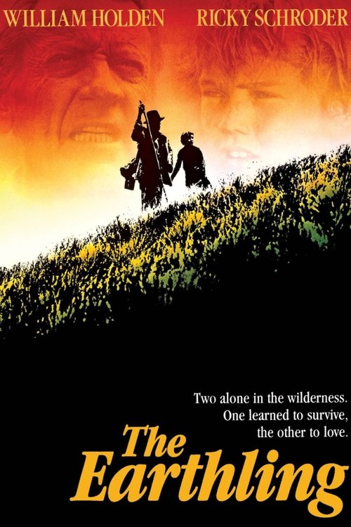 A völgylakó movie poster player