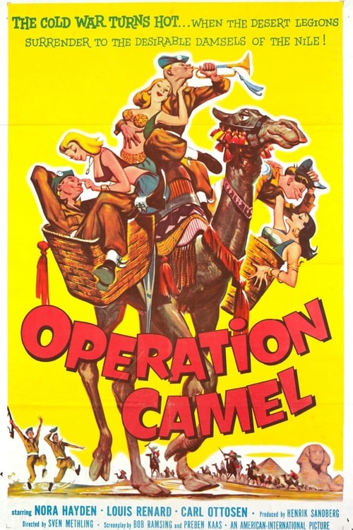 Friends at Arms: Operation Camel Movie Poster Image