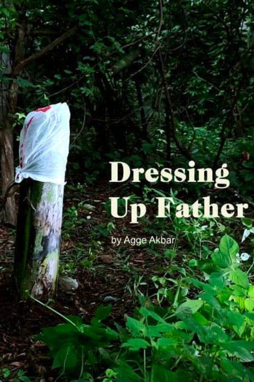 Dressing Up Father poster