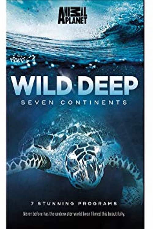 Wild Deep (2013) poster
