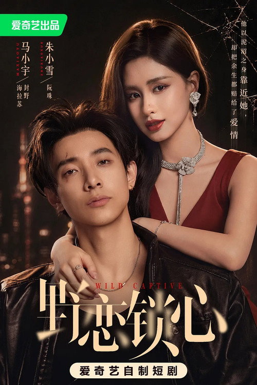 Affiche de 野恋锁心