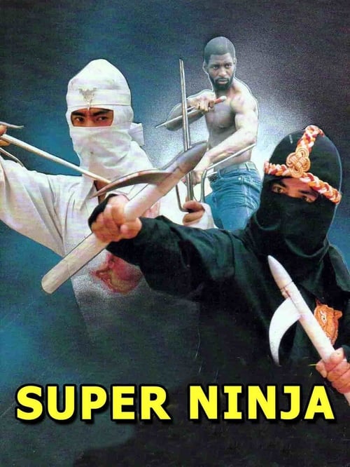 El escuadrón de los ninjas 1984