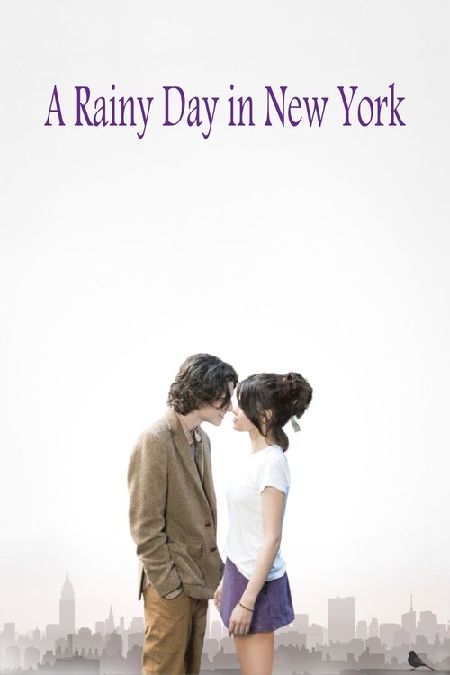 A Rainy Day in New York poster