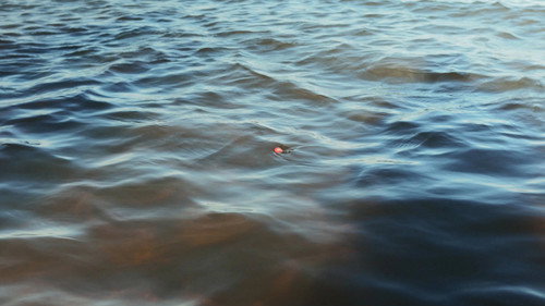 Lo que trajo el Río