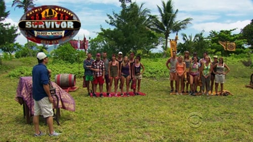 Poster della serie Survivor