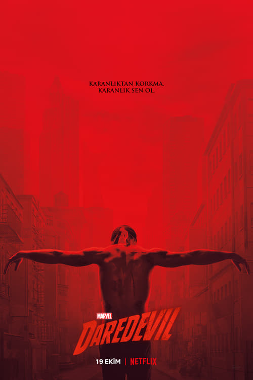 Marvel's Daredevil (2015)