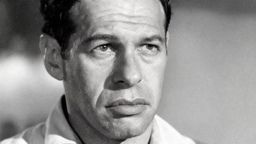 Hey Moth, Come Eat The Flame