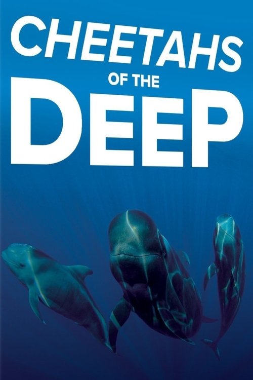 Cheetahs of the Deep movie poster player