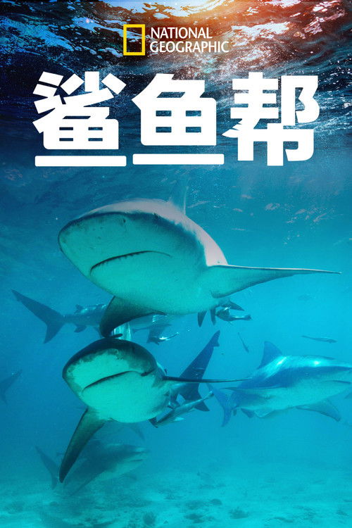 Shark Gangs poster