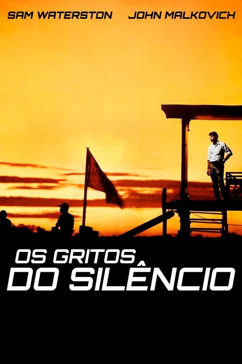 Pôster de Os Gritos do Silêncio