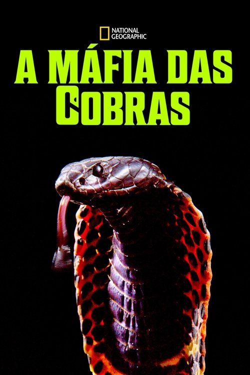 Pôster de A Máfia das Cobras