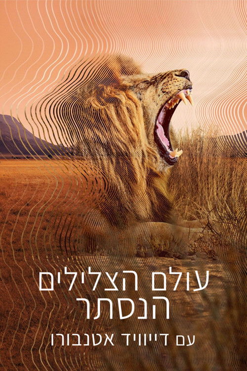 עולם הצלילים הנסתר עם דייוויד אטנבורו
