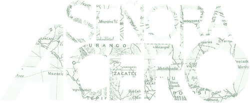 Señora Acero - Logo 2