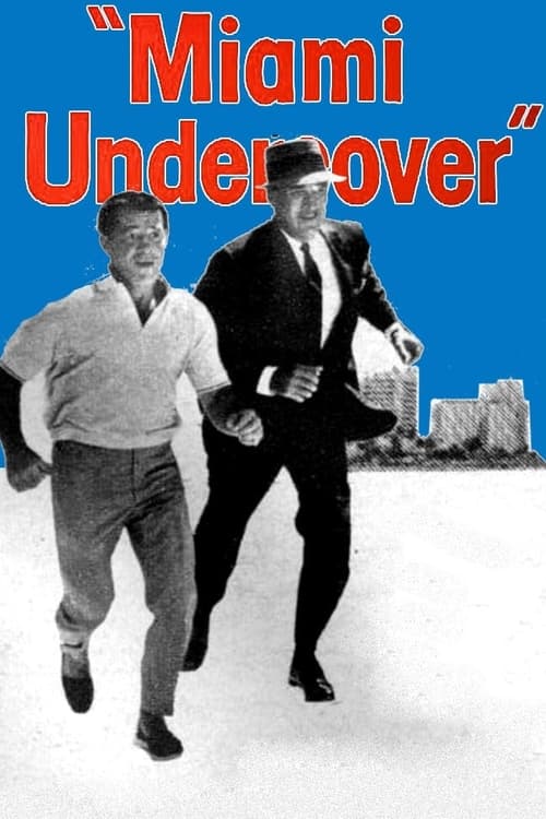 Poster da série Miami Undercover