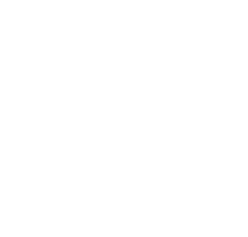 Boîte noire