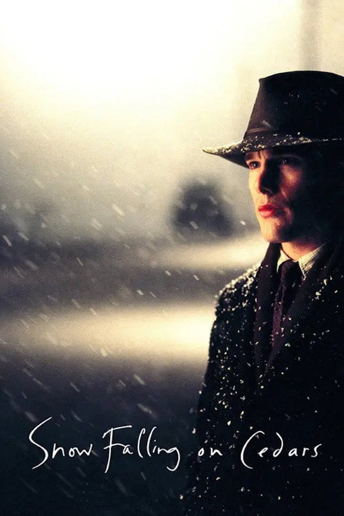 Snow Falling on Cedars poster