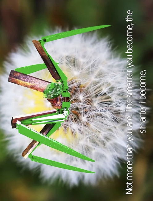 Precarious Inhabitants