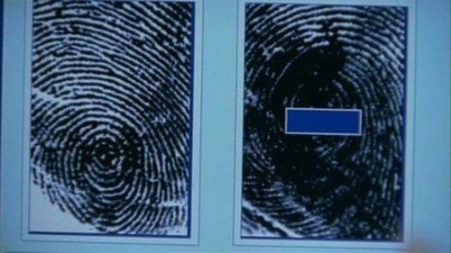 Image de l'épisode 7