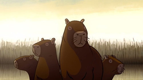 Capybaras