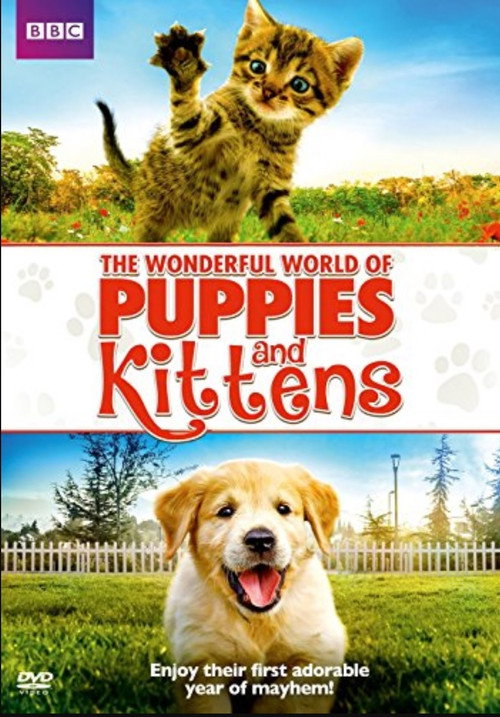 The Wonderful World of Puppies poster