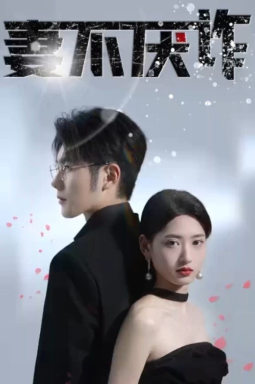 妻不厌诈 (2023) poster