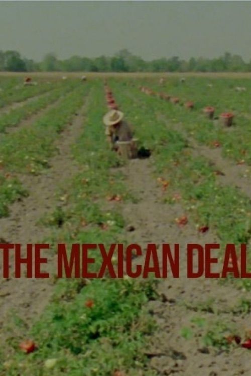 Poster Le Deal mexicain 1980