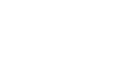 சக்தி திருமகன்