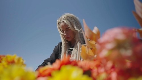 Image de l'épisode 1