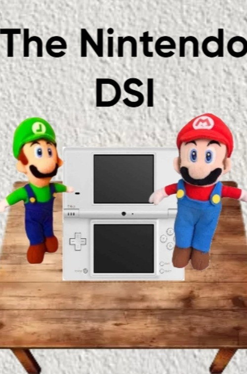 The Nintendo DSI