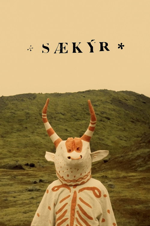SÆKÝR