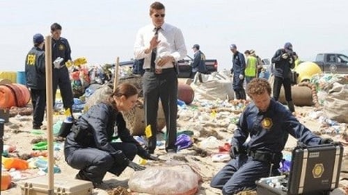 Bones, S08E07 - (2012)