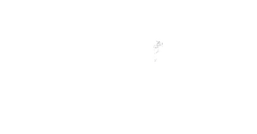 Asih 2