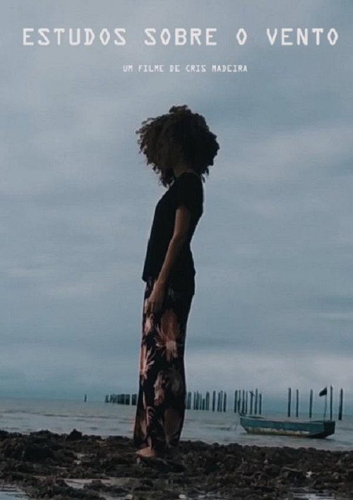 Estudos Sobre o Vento