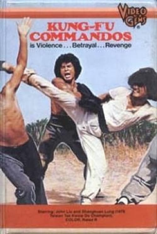 Incredible Kung Fu Mission 1979