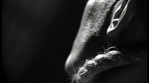 Nine Inch Nails: Broken