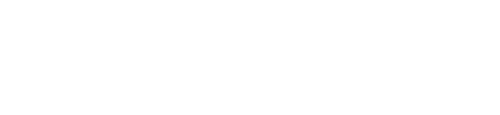 The Bear
