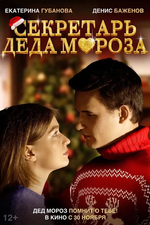 Секретарь Деда Мороза (2023) poster