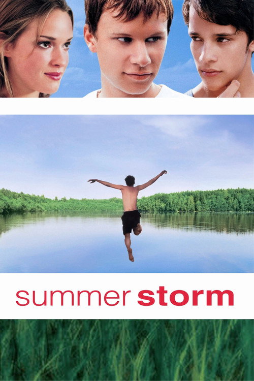 Affiche de Summer Storm