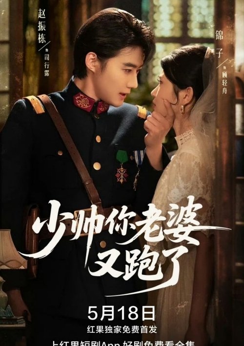 Wife on The Run, Again poster