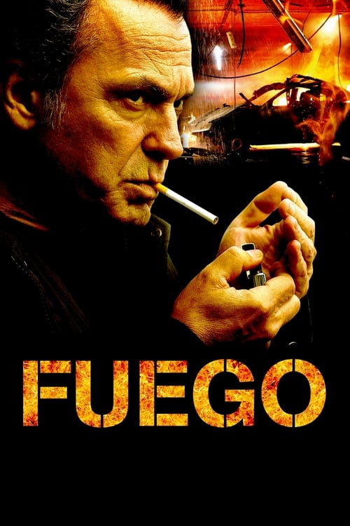 Poster Fuego 2014