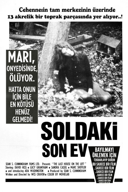 Soldaki Son Ev